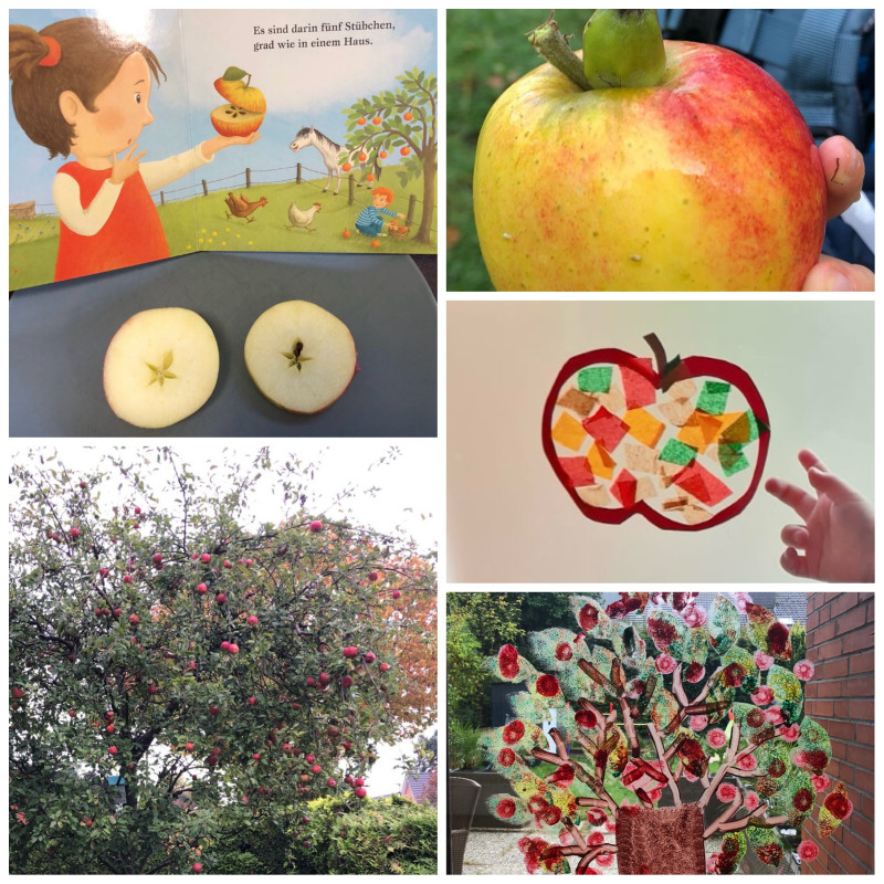 Apfel